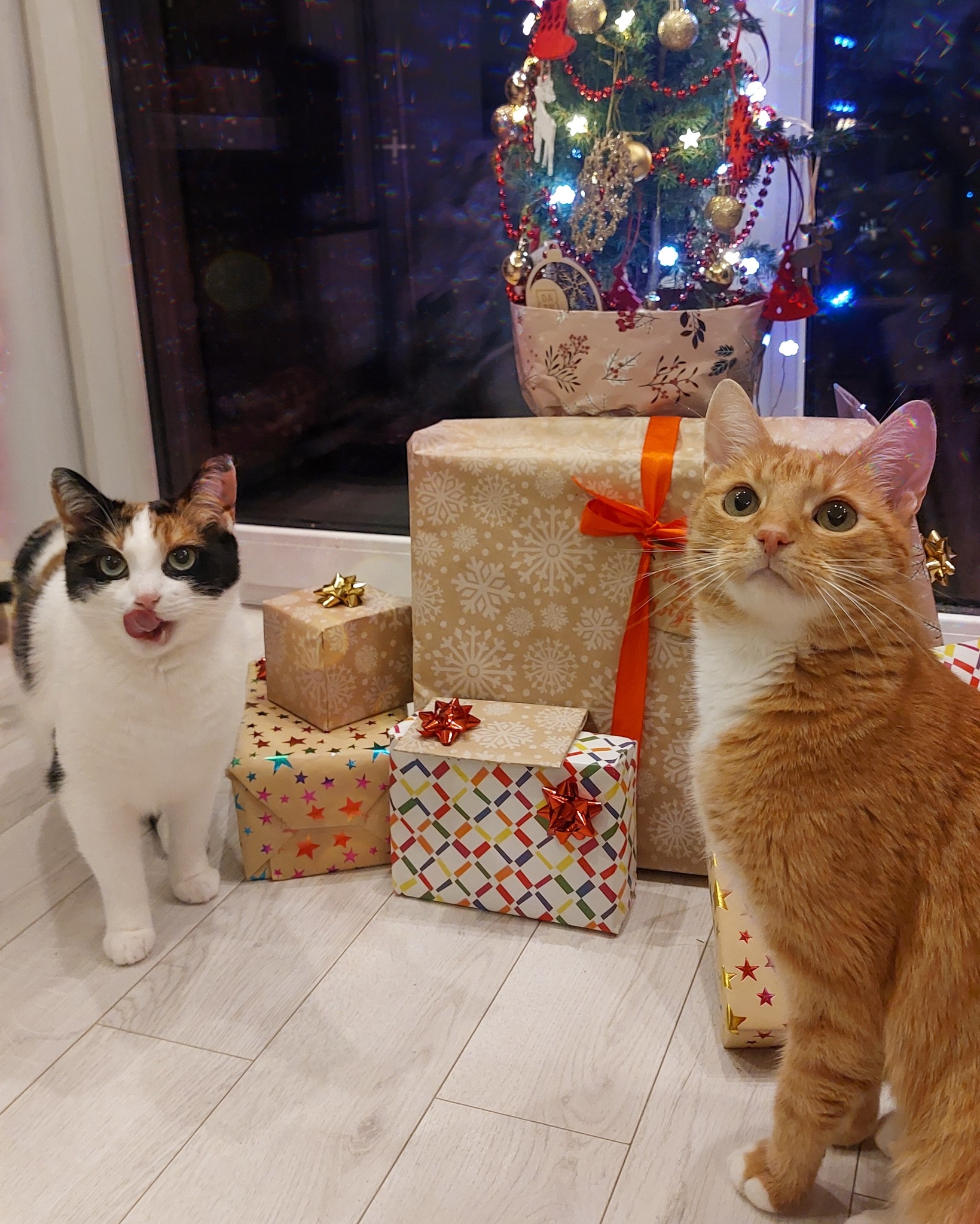 20251223_193503 (2).jpg